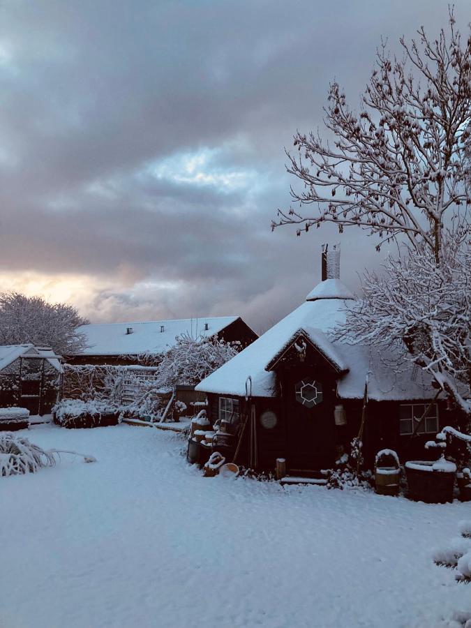Det Blagronne Hus